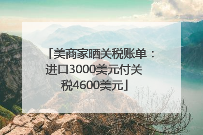 美商家晒关税账单：进口3000美元付关税4600美元