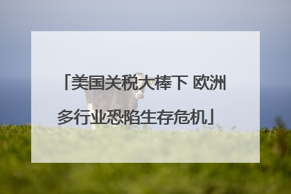 美国关税大棒下 欧洲多行业恐陷生存危机