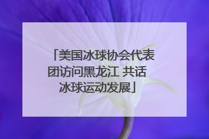 美国冰球协会代表团访问黑龙江 共话冰球运动发展