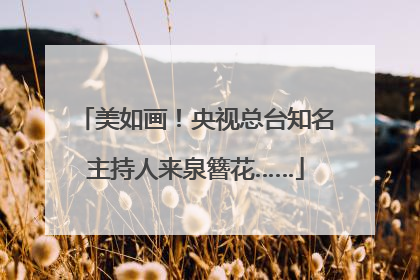 美如画！央视总台知名主持人来泉簪花……
