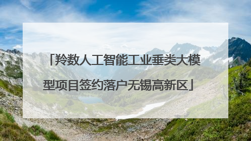 羚数人工智能工业垂类大模型项目签约落户无锡高新区