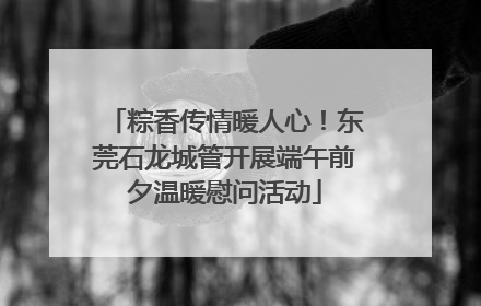 粽香传情暖人心！东莞石龙城管开展端午前夕温暖慰问活动