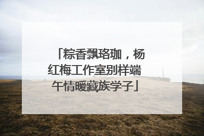 粽香飘珞珈，杨红梅工作室别样端午情暖藏族学子
