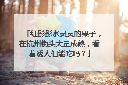 红彤彤水灵灵的果子，在杭州街头大量成熟，看着诱人但能吃吗？