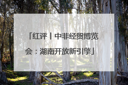 红评丨中非经贸博览会：湖南开放新引擎