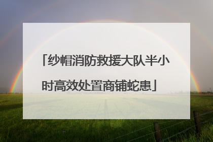 纱帽消防救援大队半小时高效处置商铺蛇患