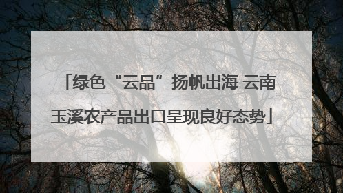 绿色“云品”扬帆出海 云南玉溪农产品出口呈现良好态势