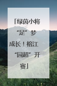 绿茵小将 “足”梦成长！榕江“园超”开赛