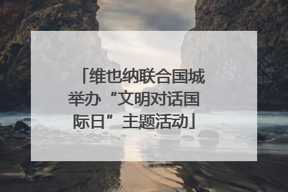 维也纳联合国城举办“文明对话国际日”主题活动