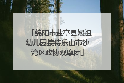 绵阳市盐亭县嫘祖幼儿园接待乐山市沙湾区政协观摩团