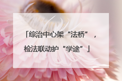 综治中心架“法桥”，检法联动护“学途”