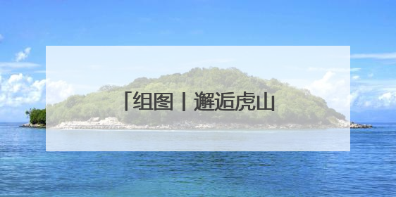 组图丨邂逅虎山公园花海芬芳 享受初夏限定美好