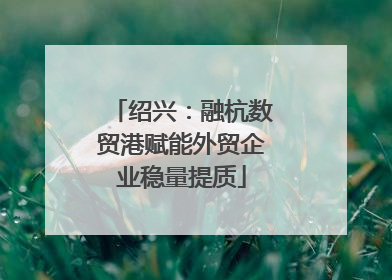 绍兴：融杭数贸港赋能外贸企业稳量提质