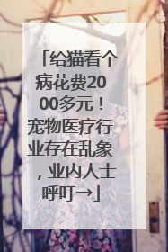 给猫看个病花费2000多元！宠物医疗行业存在乱象，业内人士呼吁→