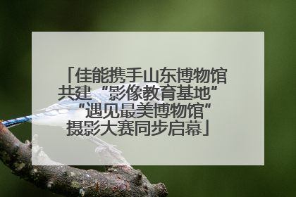 佳能携手山东博物馆共建“影像教育基地” “遇见最美博物馆”摄影大赛同步启幕