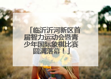 临沂沂河新区首届智力运动会暨青少年国际象棋比赛圆满落幕！