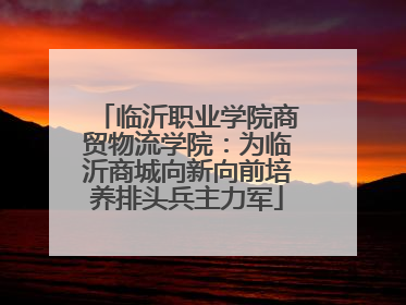 临沂职业学院商贸物流学院：为临沂商城向新向前培养排头兵主力军