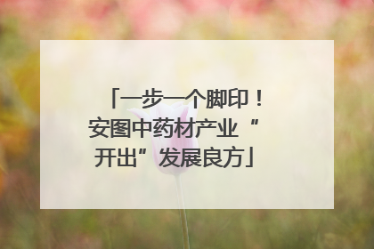 一步一个脚印！安图中药材产业“开出”发展良方