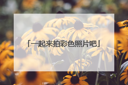 一起来拍彩色照片吧