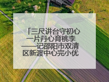 三尺讲台守初心 一片丹心育桃李——记邵阳市双清区新渡中心完小优秀教师姚丹