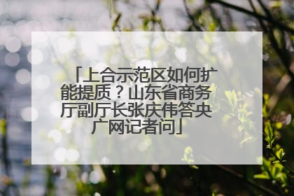 上合示范区如何扩能提质？山东省商务厅副厅长张庆伟答央广网记者问