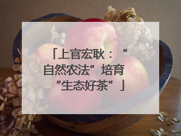 上官宏耿：“自然农法”培育“生态好茶”