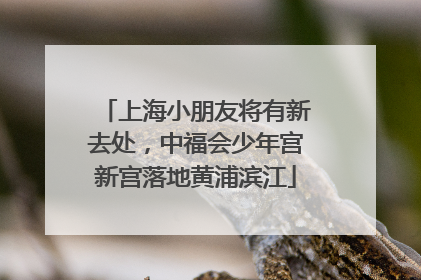 上海小朋友将有新去处，中福会少年宫新宫落地黄浦滨江