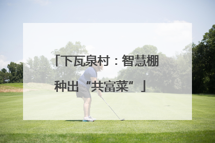 下瓦泉村：智慧棚种出“共富菜”