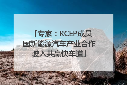 专家：RCEP成员国新能源汽车产业合作驶入共赢快车道