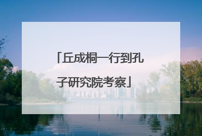 丘成桐一行到孔子研究院考察