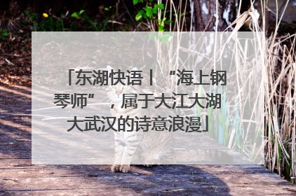 东湖快语丨“海上钢琴师”，属于大江大湖大武汉的诗意浪漫
