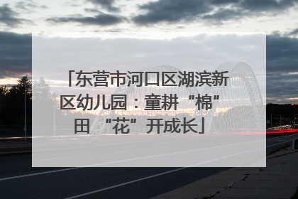 东营市河口区湖滨新区幼儿园：童耕“棉”田 “花”开成长