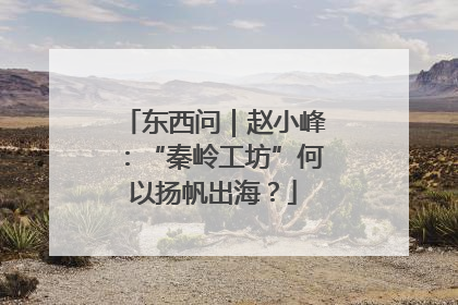 东西问｜赵小峰：“秦岭工坊”何以扬帆出海？