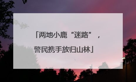 两地小鹿“迷路”，警民携手放归山林
