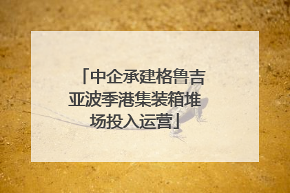 中企承建格鲁吉亚波季港集装箱堆场投入运营