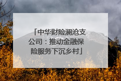 中华财险澜沧支公司：推动金融保险服务下沉乡村
