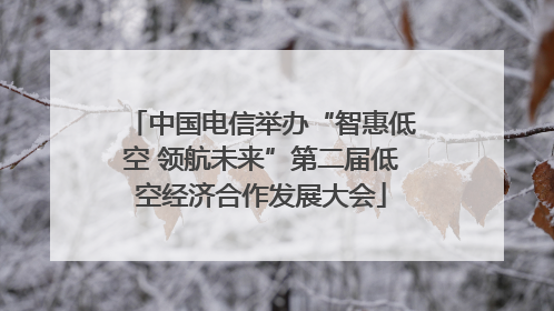 中国电信举办“智惠低空 领航未来”第二届低空经济合作发展大会