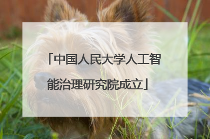 中国人民大学人工智能治理研究院成立