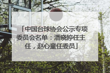 中国台球协会公示专项委员会名单：潘晓婷任主任，赵心童任委员