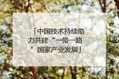 中国技术持续助力共建“一带一路”国家产业发展