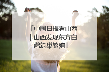 中国日报看山西｜山西发现东方白鹳筑巢繁殖