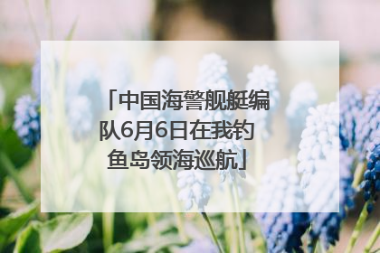 中国海警舰艇编队6月6日在我钓鱼岛领海巡航