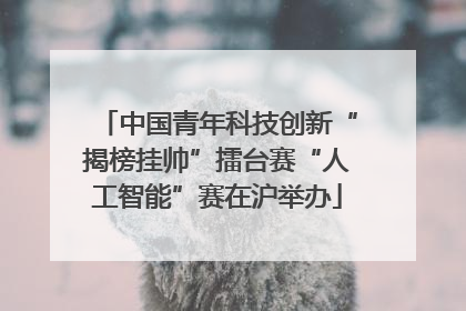 中国青年科技创新“揭榜挂帅”擂台赛“人工智能”赛在沪举办