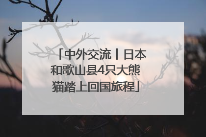 中外交流丨日本和歌山县4只大熊猫踏上回国旅程