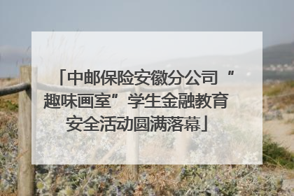 中邮保险安徽分公司“趣味画室”学生金融教育安全活动圆满落幕