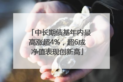 中长期债基年内最高涨超4%，超6成净值表现创新高