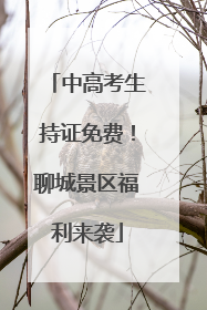 中高考生持证免费！聊城景区福利来袭
