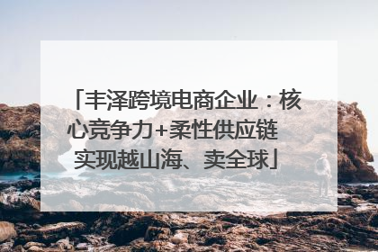 丰泽跨境电商企业：核心竞争力+柔性供应链 实现越山海、卖全球