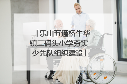 乐山五通桥牛华镇二码头小学夯实少先队组织建设