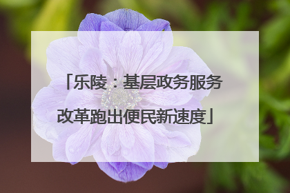 乐陵：基层政务服务改革跑出便民新速度